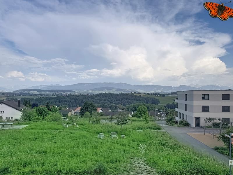 Vue