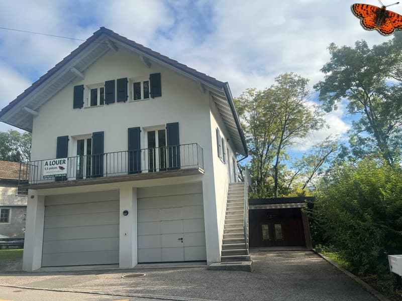 Maison