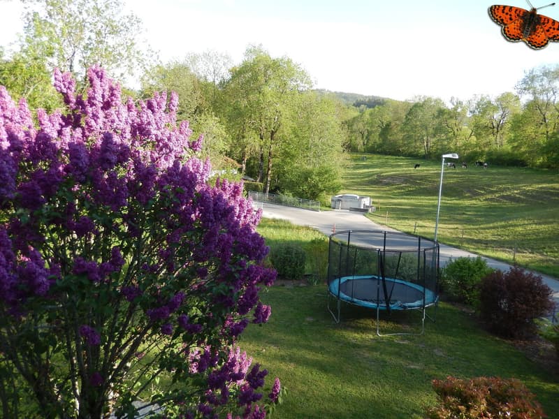 Jardin