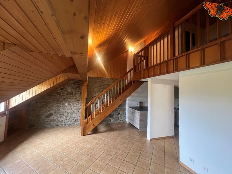CHARMANT DUPLEX DE 2 ½ PIECES A ROMONT ! (8)