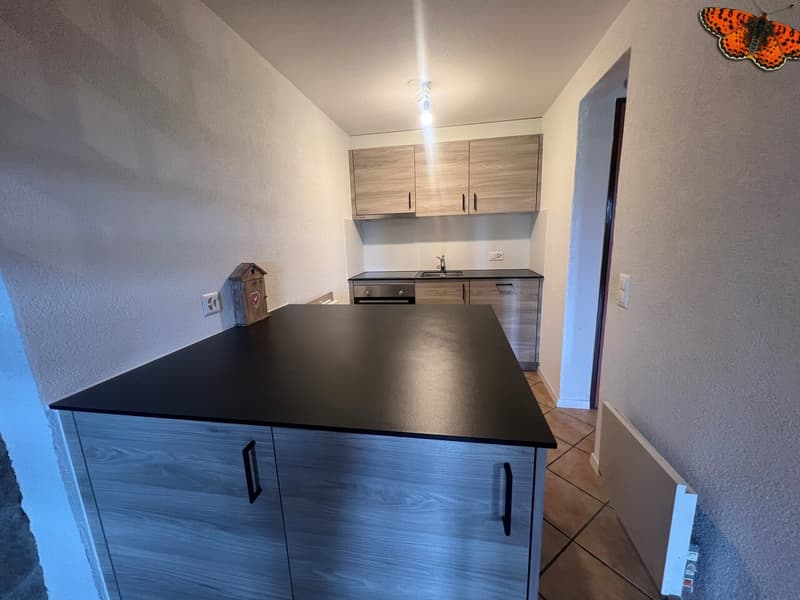 CHARMANT DUPLEX DE 2 ½ PIECES A ROMONT ! (2)