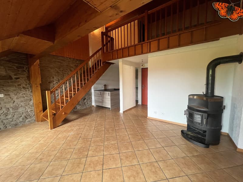 CHARMANT DUPLEX DE 2 ½ PIECES A ROMONT ! (1)