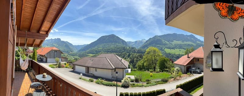 CHARMANT 3 ½ PIECES RENOVE - Grand balcon en V de 25m² ! (8)