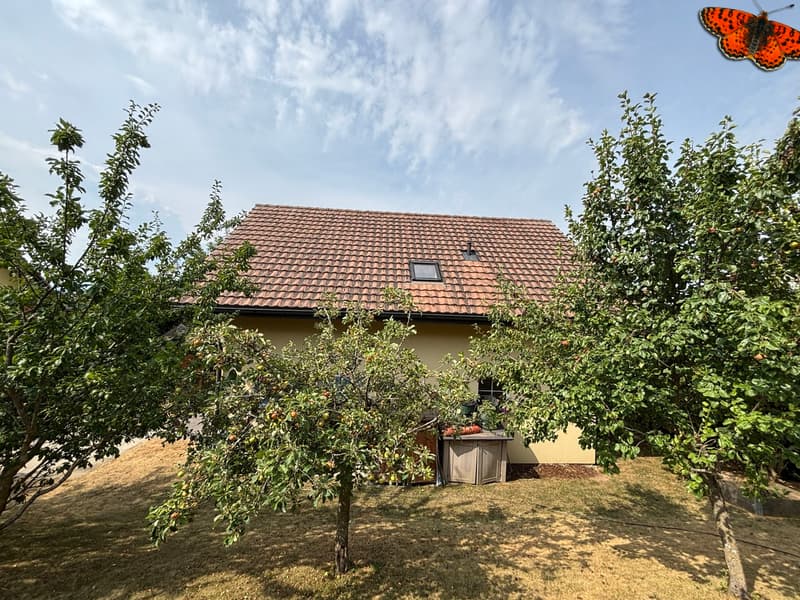 Maison individuelle à vendre à Ursy ! (13)
