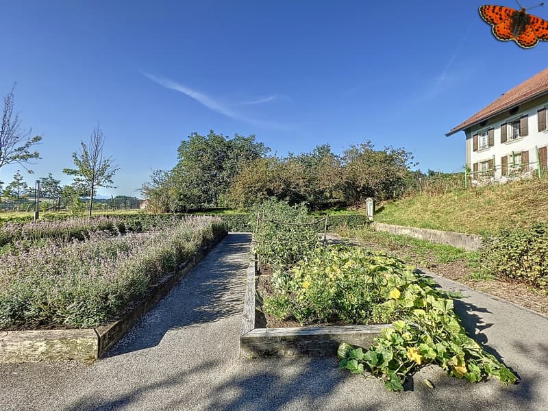Potagers