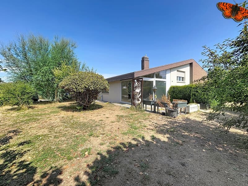 Maison individuelle avec jardin et beau potentiel à Payerne (1)
