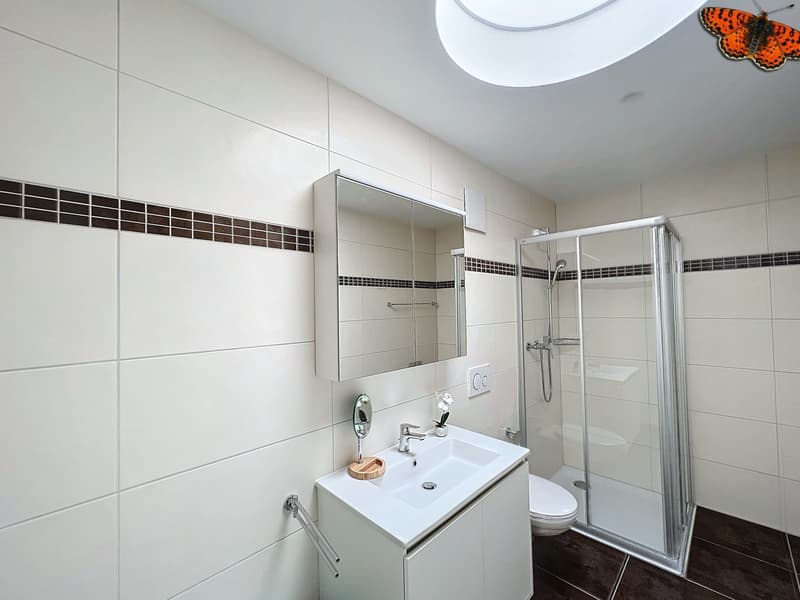 Salle de douche