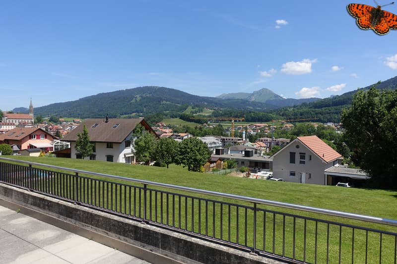 Duplex de 4½ pièces à Châtel-St-Denis, lumineux et chaleureux (11)