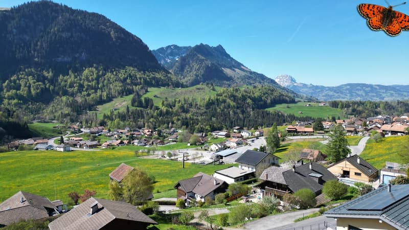 Magnifique villa individuelle avec vue imprenable à Charmey (3)