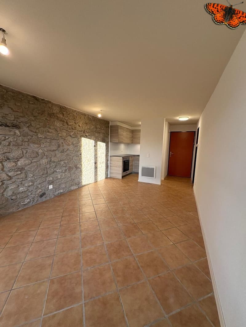 APPARTEMENT DUPLEX DE 2 ½ PIECES A ROMONT ! (6)