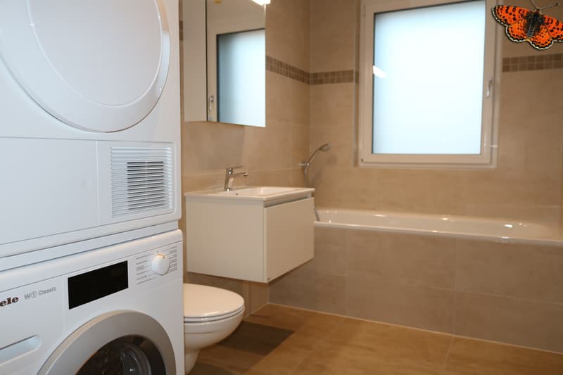 baignoire - colonne de lavage