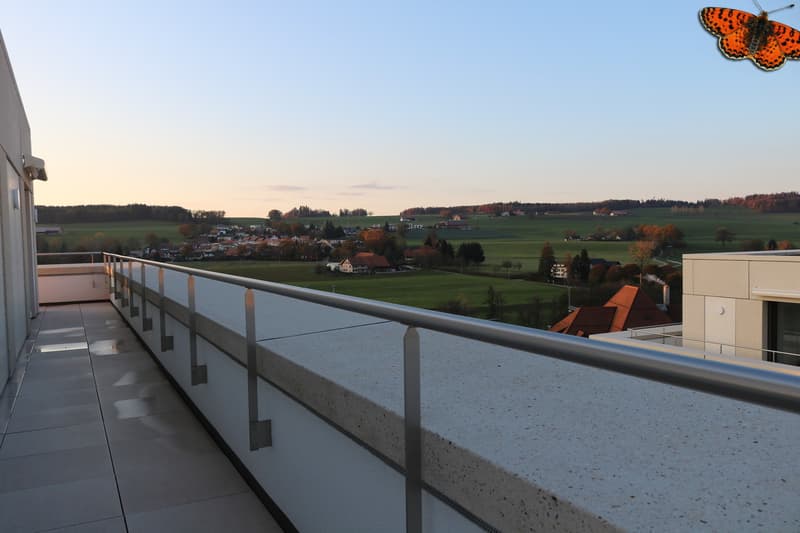 terrasse 2