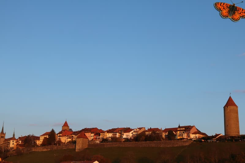 vue