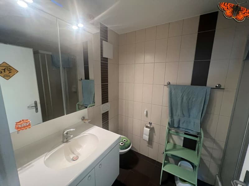 Salle d'eau