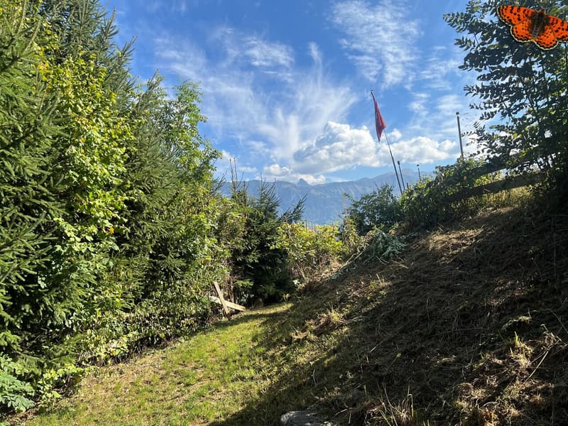 2 ½ pièces au Pâquier - Pour les amoureux de la nature ! (9)