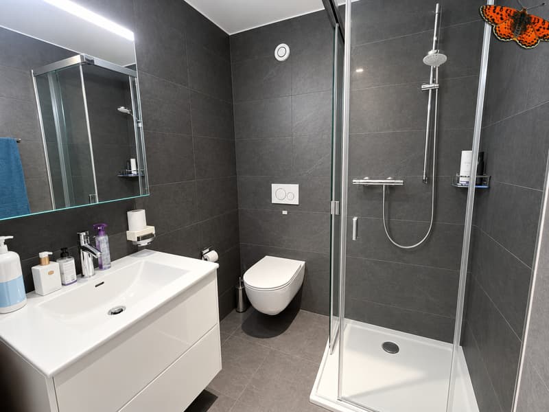 salle de bain douche