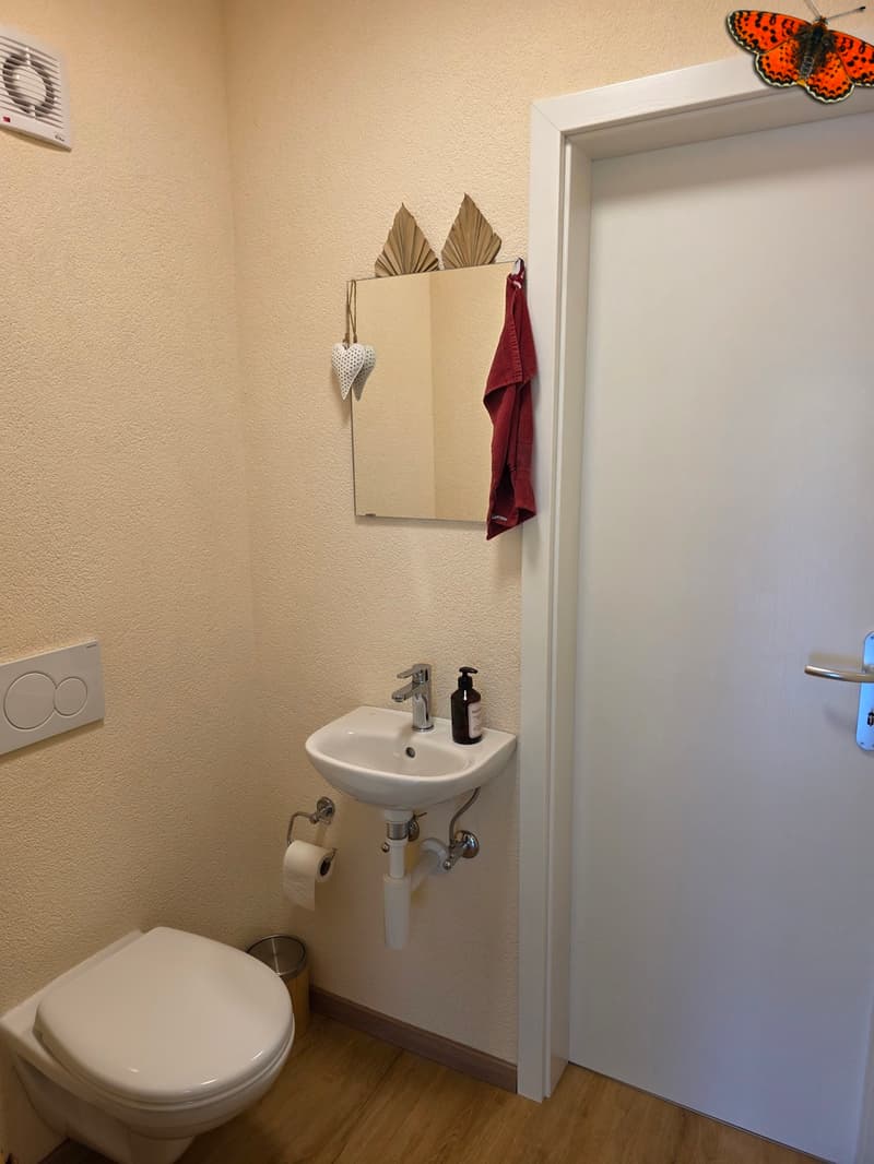 une petite salle de bains avec des toilettes, un lavabo et un miroir fixé au mur / a small bathroom with a toilet, sink and mirror on the wall