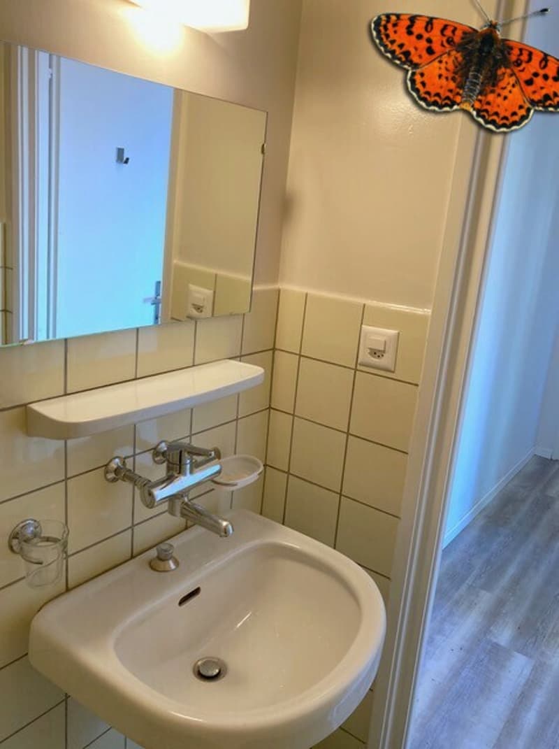 Salle d'eau