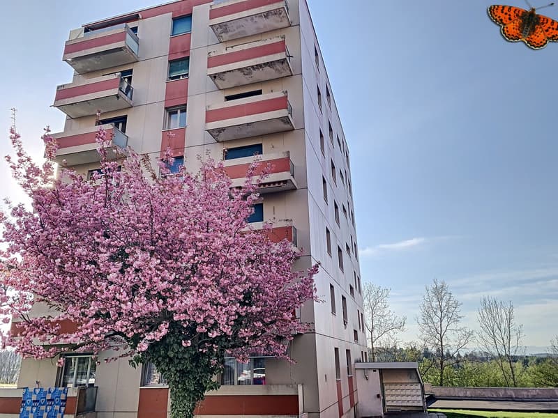 Immeuble