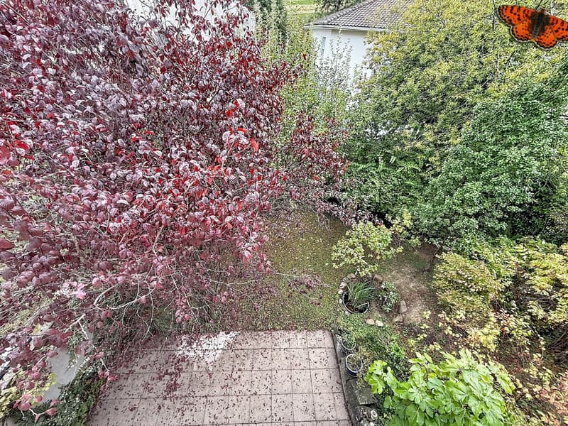 Jardin