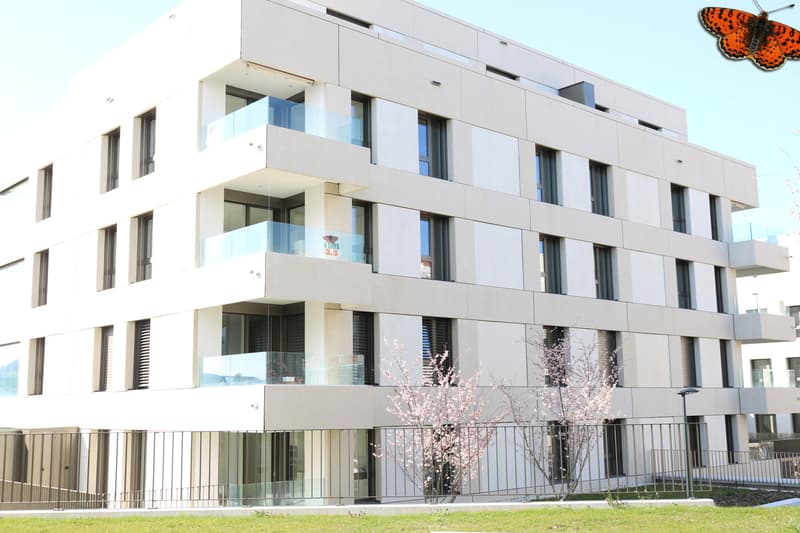 Immeuble