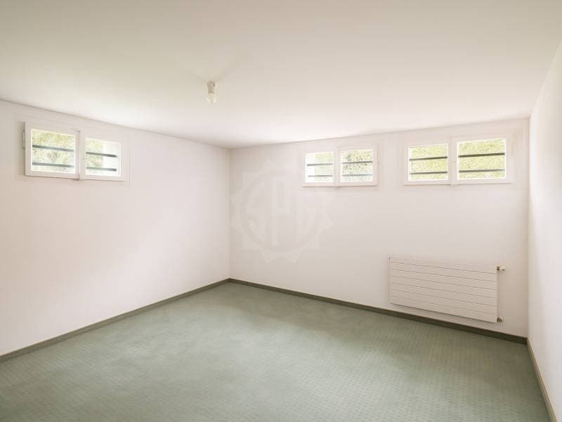 Villa lumineuse - Cointrin (11)