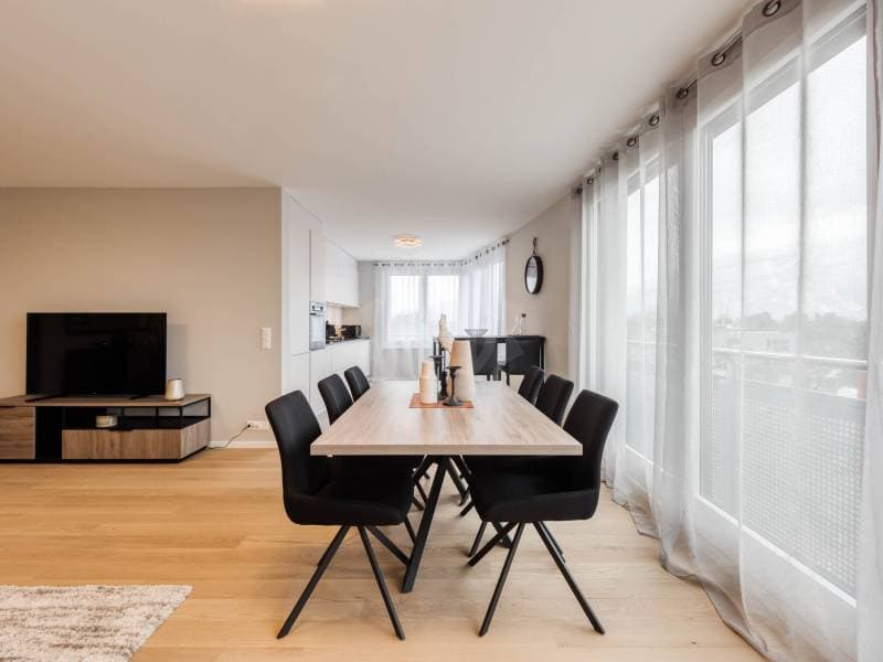 Bel appartement - Genève (5)