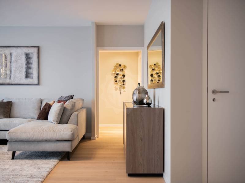 Bel appartement - Genève (3)