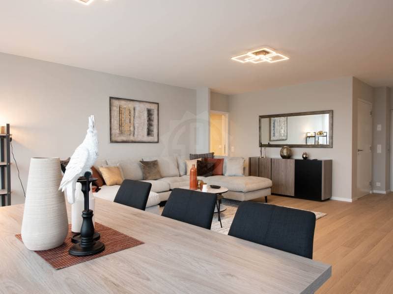 Bel appartement - Genève (4)