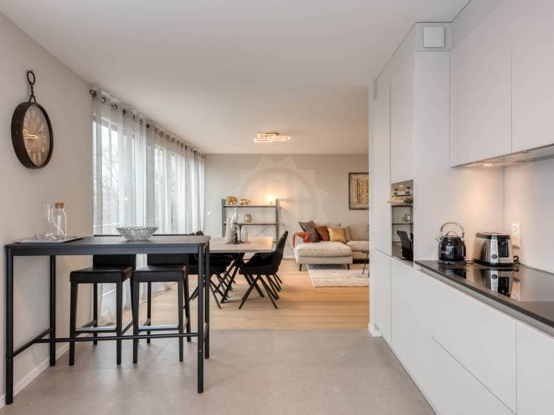 Bel appartement - Genève (6)