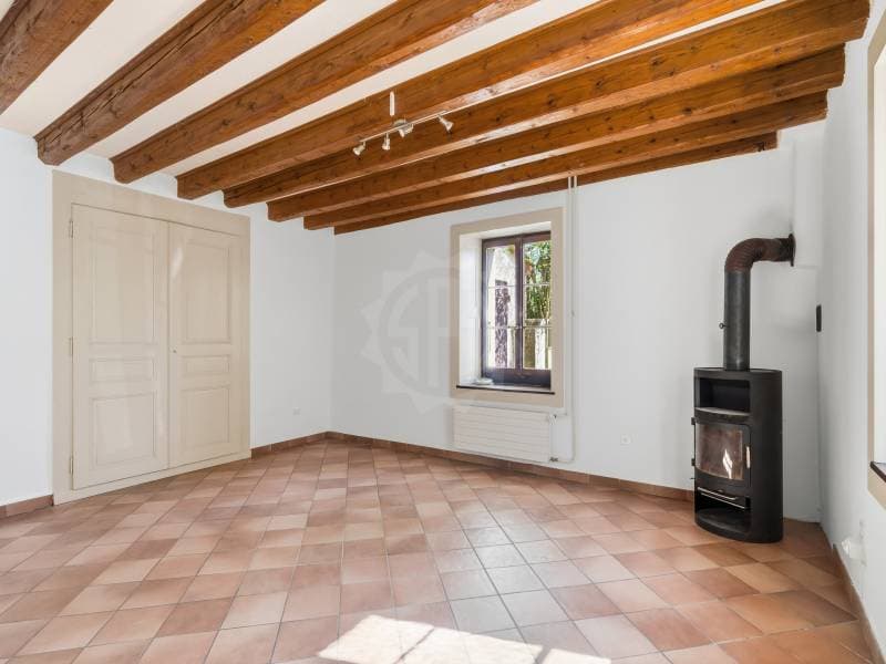 Ravissante villa - Dardagny (5)