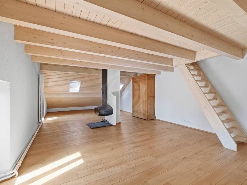 Ravissante villa - Dardagny (10)