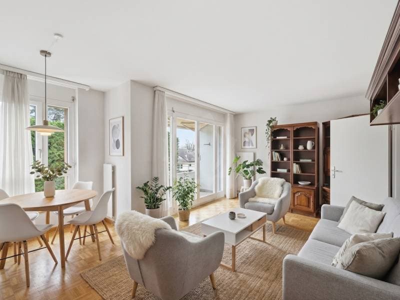 Appartement lumineux - Le Grand-Saconnex (4)