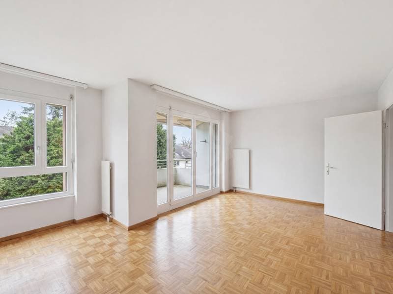 Appartement lumineux - Le Grand-Saconnex (3)