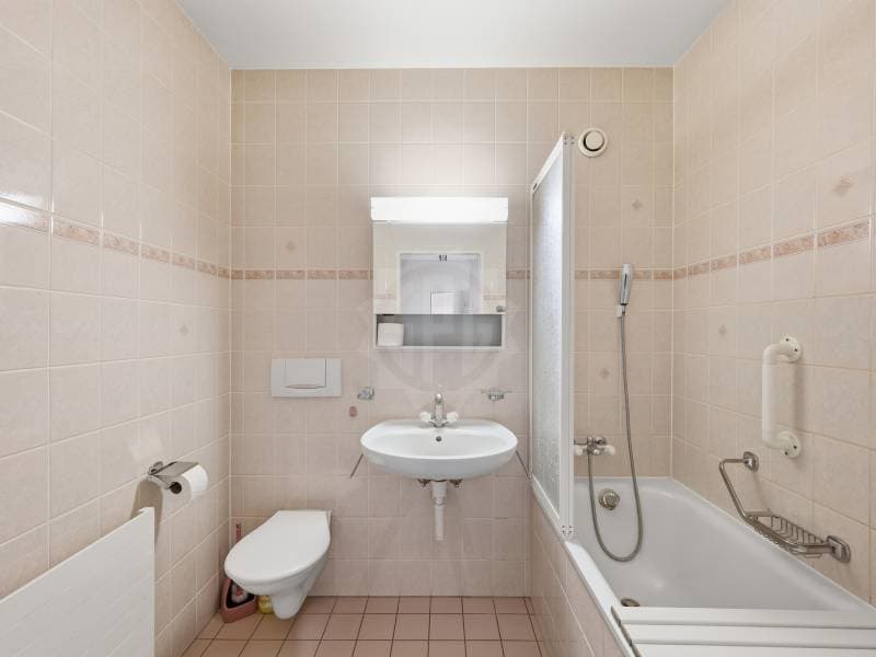 Appartement lumineux - Le Grand-Saconnex (11)