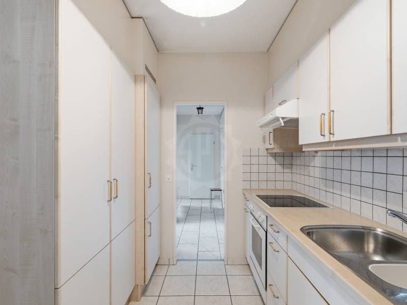 Appartement lumineux - Le Grand-Saconnex (7)