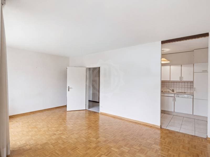 Appartement lumineux - Le Grand-Saconnex (5)