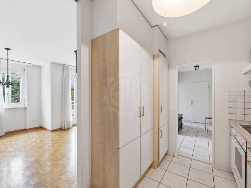 Appartement lumineux - Le Grand-Saconnex (6)