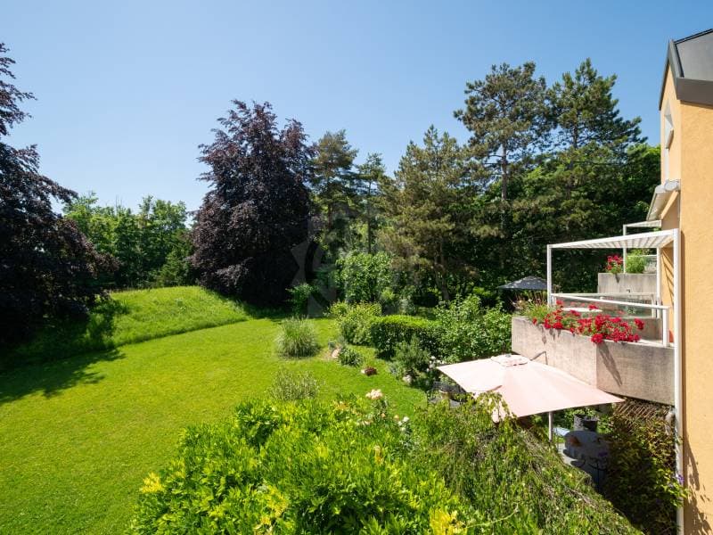 Charmant appartement - Chambésy (2)