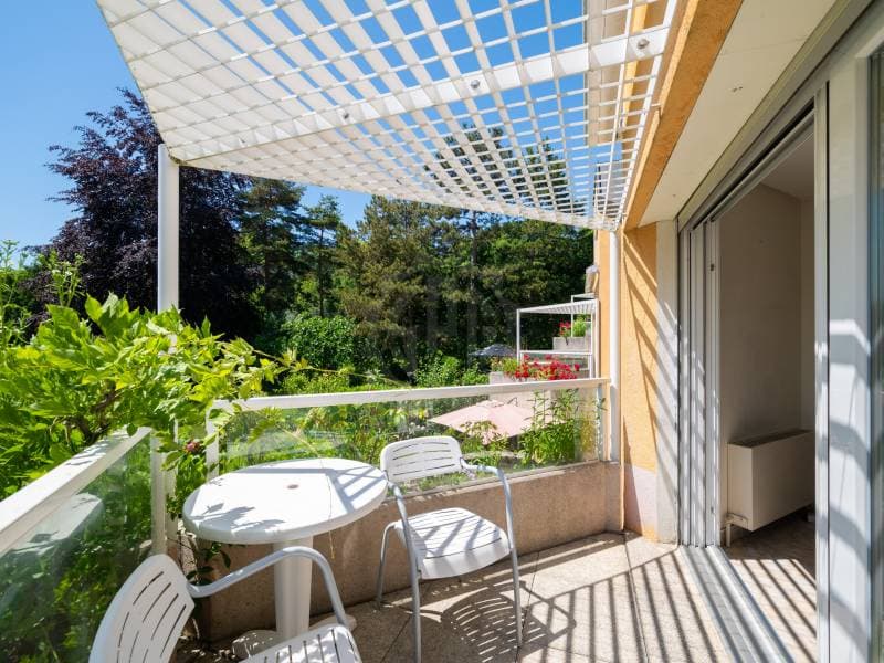 Charmant appartement - Chambésy (3)