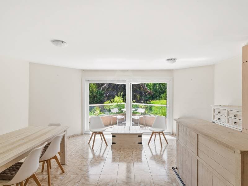 Charmant appartement - Chambésy (3)