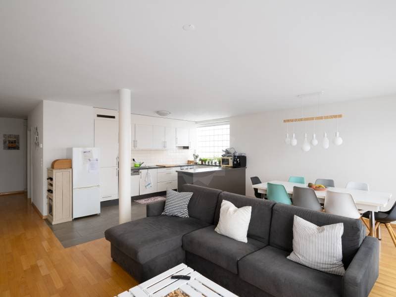 Charmant appartement - Plan-les-Ouates (4)