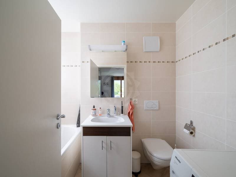 Charmant appartement - Plan-les-Ouates (11)
