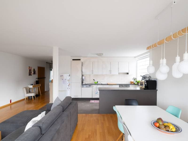 Charmant appartement - Plan-les-Ouates (5)