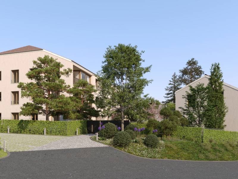 Nouvel appartement - Vésenaz (7)