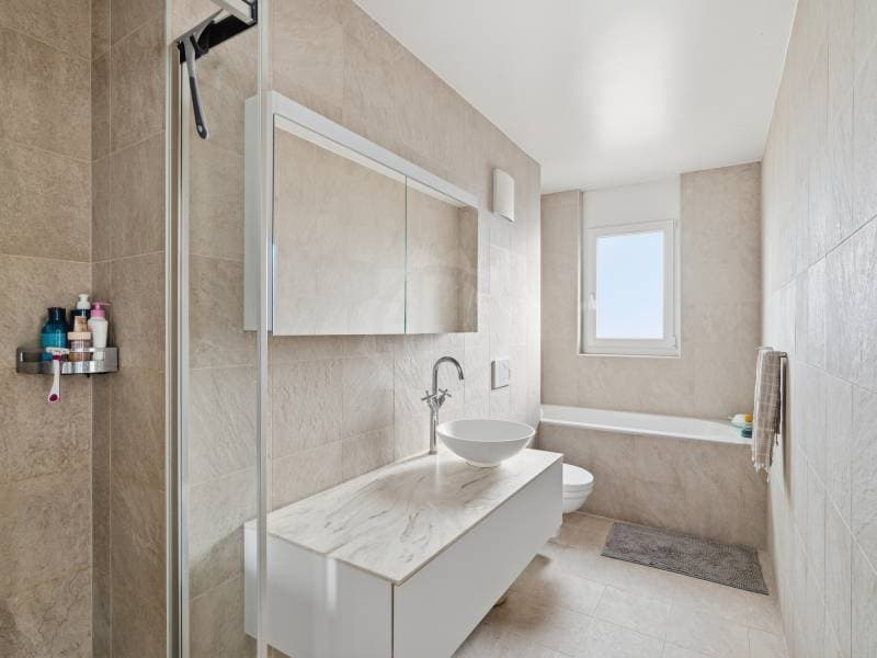 Appartement agréable - Chancy (7)