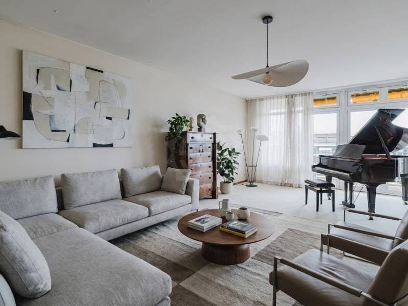 Appartement spacieux - Genève (3)
