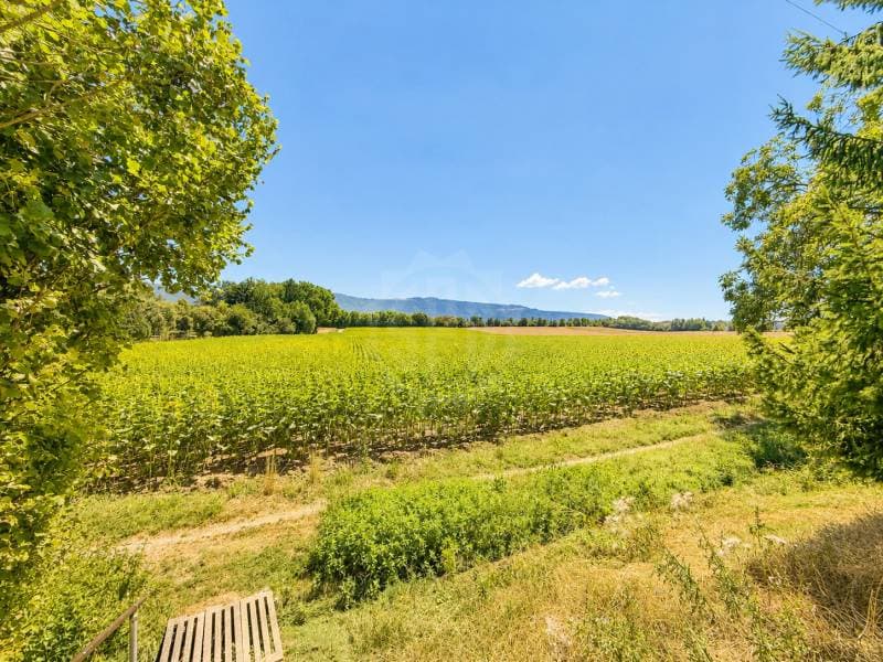 Charmant appartement - Perly (11)