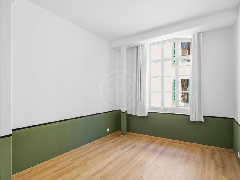Splendide appartement - Genève (7)