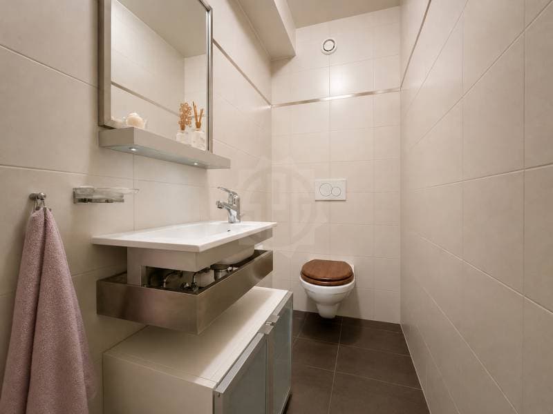 Appartement lumineux - La Plaine (8)